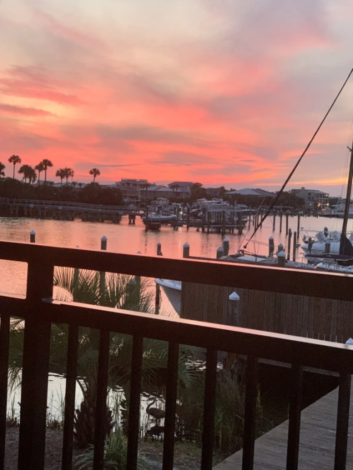A tranquil marina scene at sunset, with boats docked along the water, palm trees silhouetted against the sky, and shimmering water reflections. The dock invites thoughts of boating, fishing, and water excursions.
