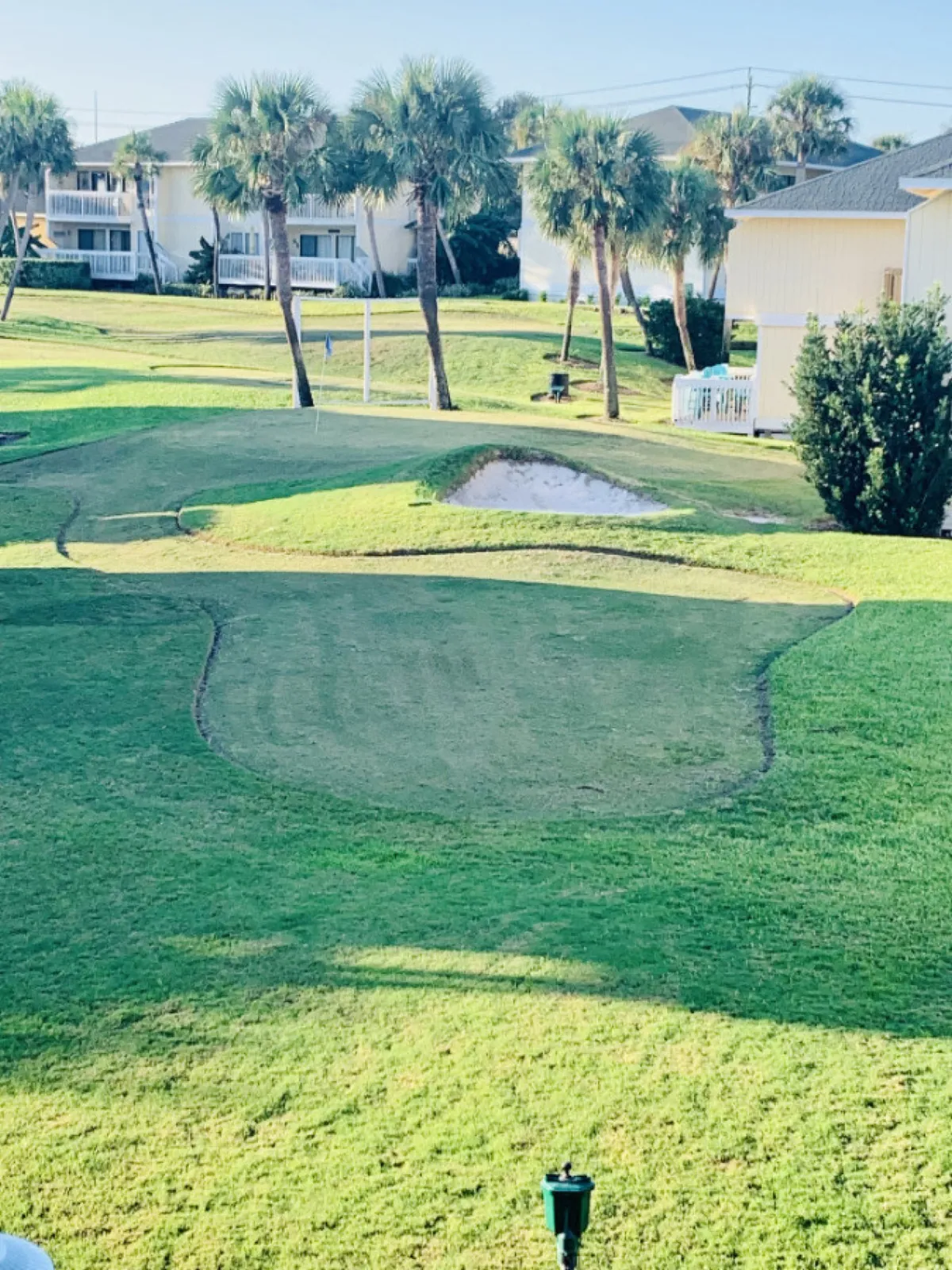 This exterior shot shows a lush golf putting green surrounded by palm trees, with residential condo buildings in the background. The grassy area and tropical landscaping create a welcoming and pet-friendly atmosphere, ideal for daily walks and outdoor playtime.